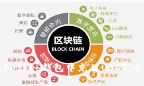 如何在Betbeb钱包中充值USDT：全面指南